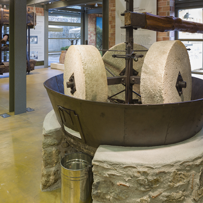  Bolta Sto Mouseio Elias Kai Ellenikou Ladiou Ste Sparte